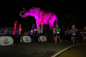 BIB: 
                            <button type="button" onclick="openModal(26534243)" class="btn btn-primary btn-sm float-right btn-popup" data-toggle="modal" data-target=".modal-high-quality">
                        <i class="fas fa-shopping-cart"></i> Add to Cart
                    </button>
                                            <button type="button" onclick="isThisMe(26534243, true)" class="btn btn-success btn-sm float-right btn-popup btn-isme hidden" data-toggle="tooltip" data-placement="bottom" title="นี่คือรูปของคุณใช่ไหม คลิกที่นี่เพื่อเอาเข้าอัลบั้ม">
                        <i class="fas fa-plus"></i> Add to album
                    </button>
                    <button type="button" onclick="isThisMe(26534243, false)" class="btn btn-warning btn-sm float-right btn-popup btn-isnotme hidden">
                        <i class="fas fa-ban"></i> Remove from album
                    </button>